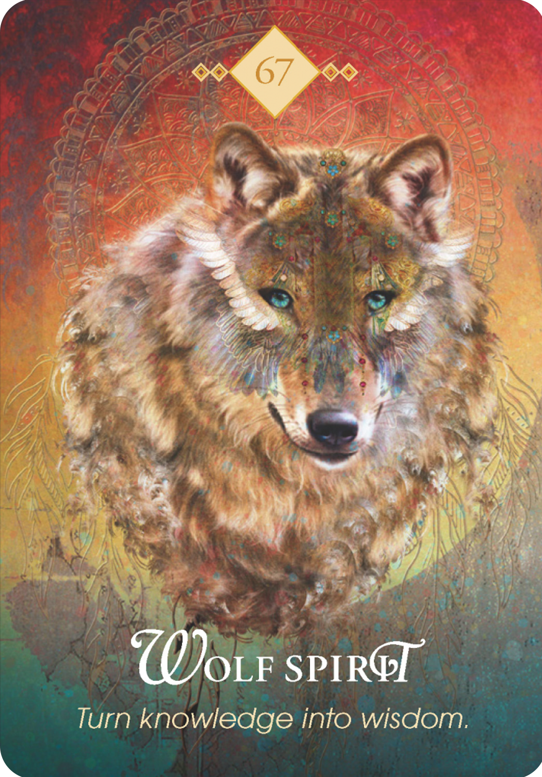 The Spirit Animal Oracle Cards